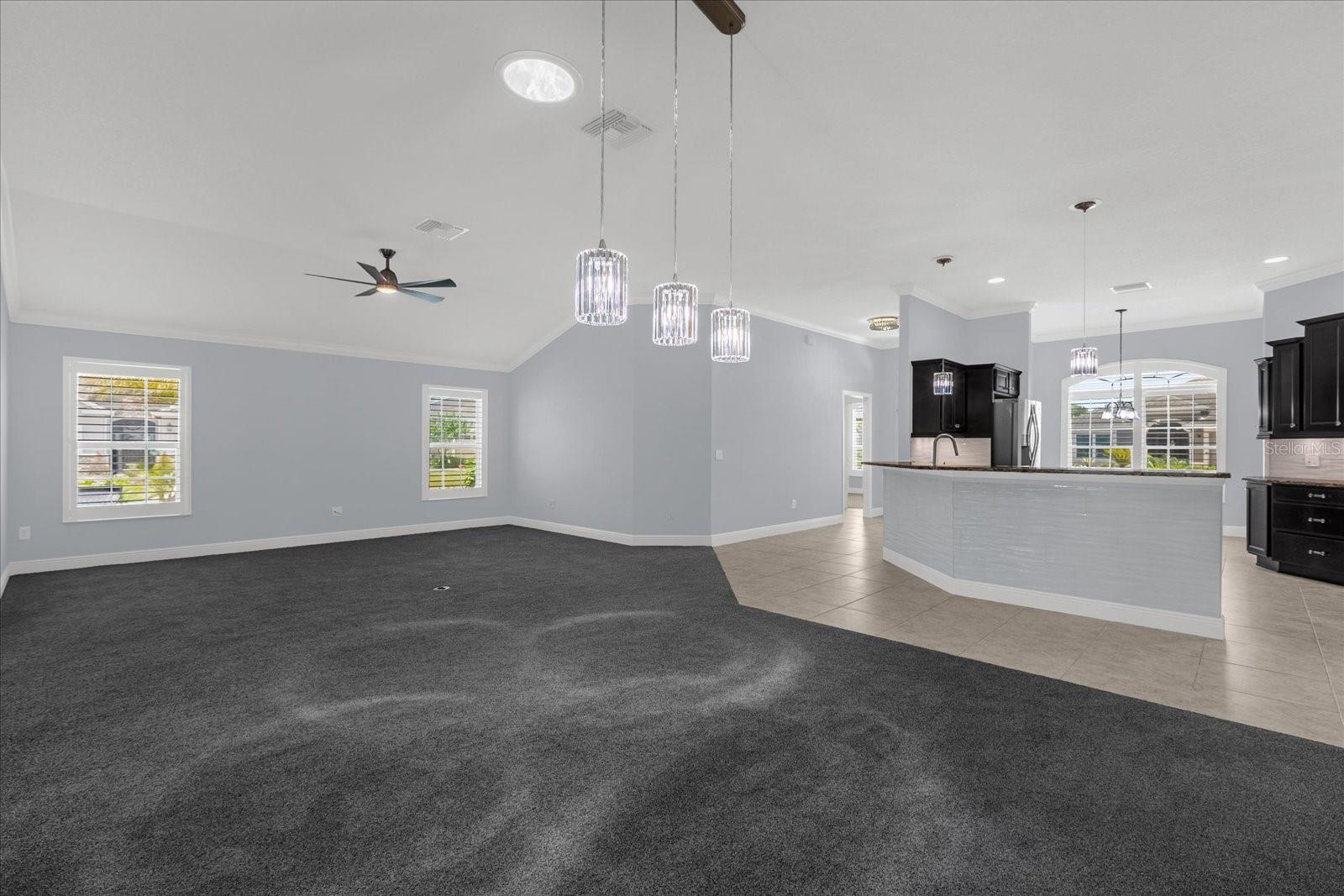 3984 MCDOWELL DR, THE VILLAGES, FL, 32163