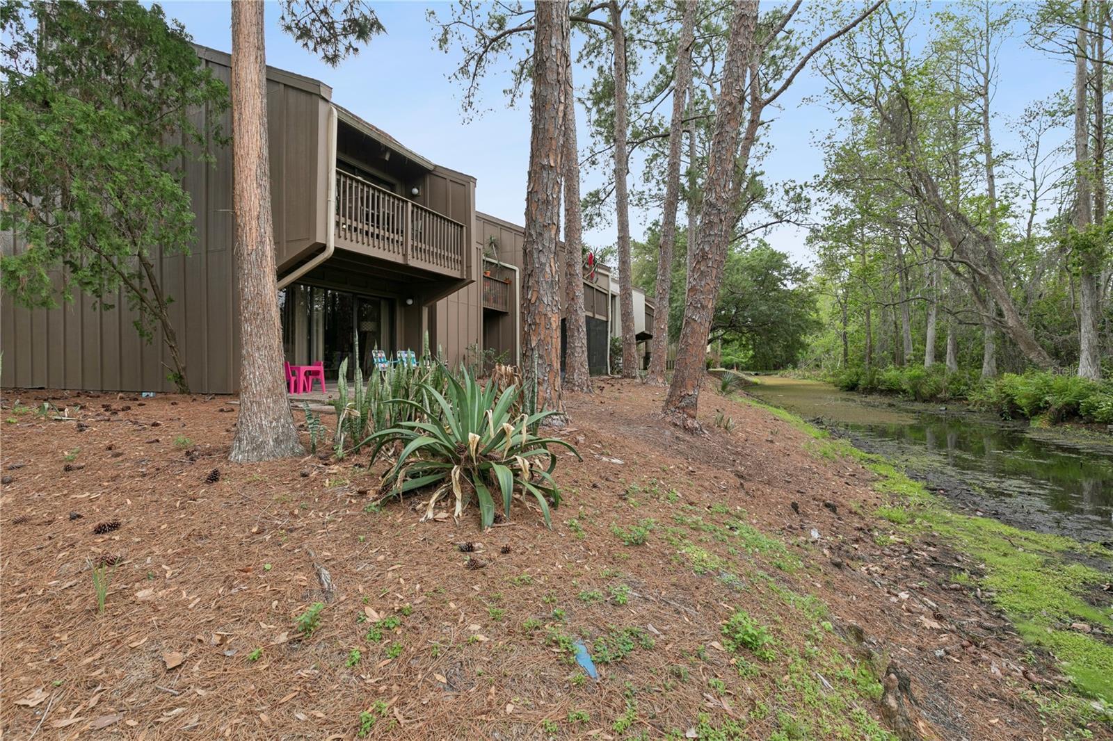 5321 INDIAN CREEK DR #D, ORLANDO, FL, 32811