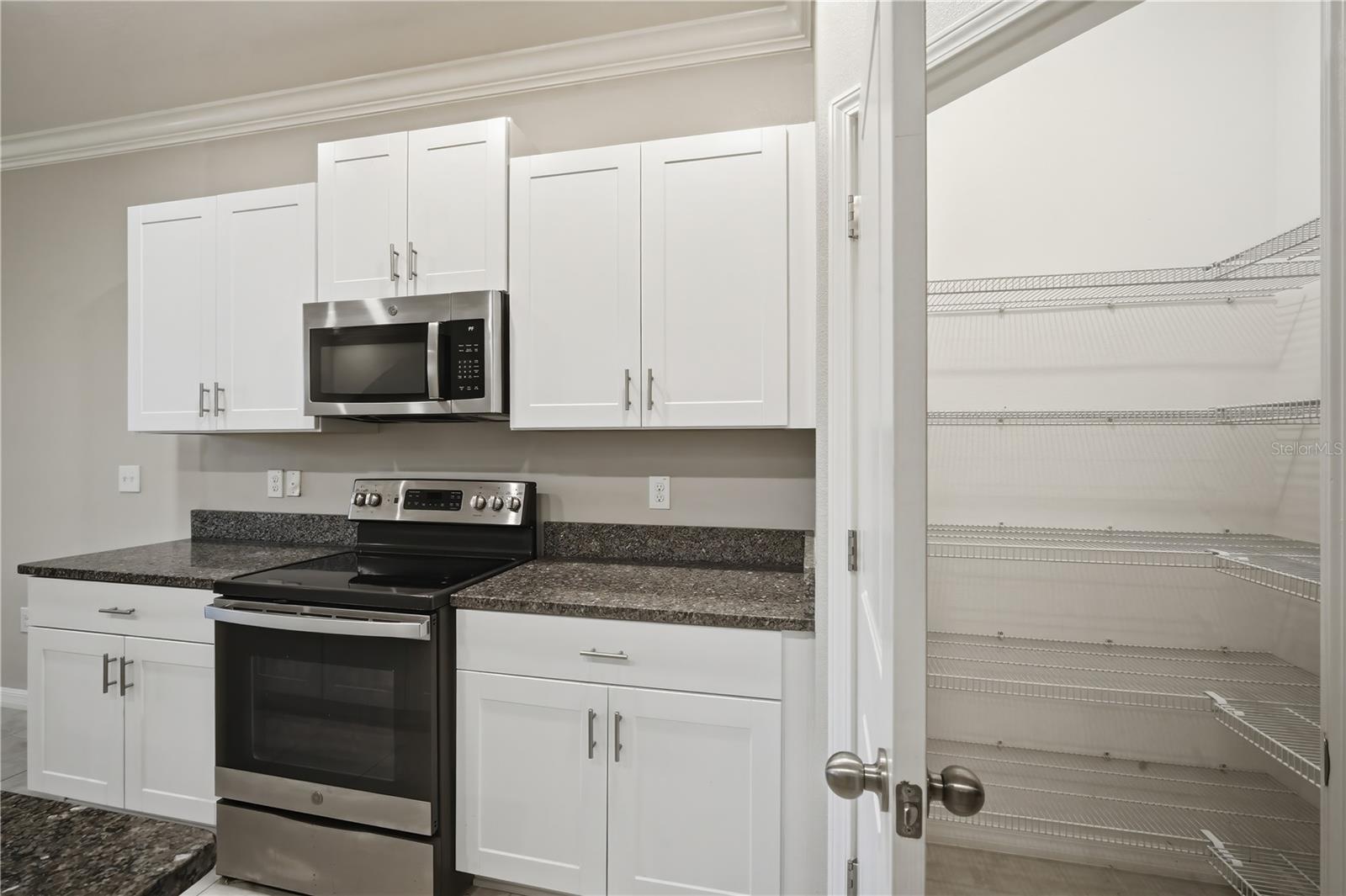 31535 BLUE PASSING LOOP, WESLEY CHAPEL, FL, 33545