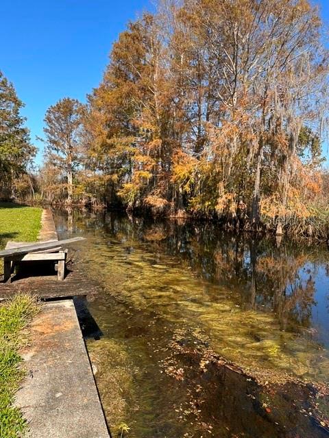11671 E SALMON DR, FLORAL CITY, FL, 34436