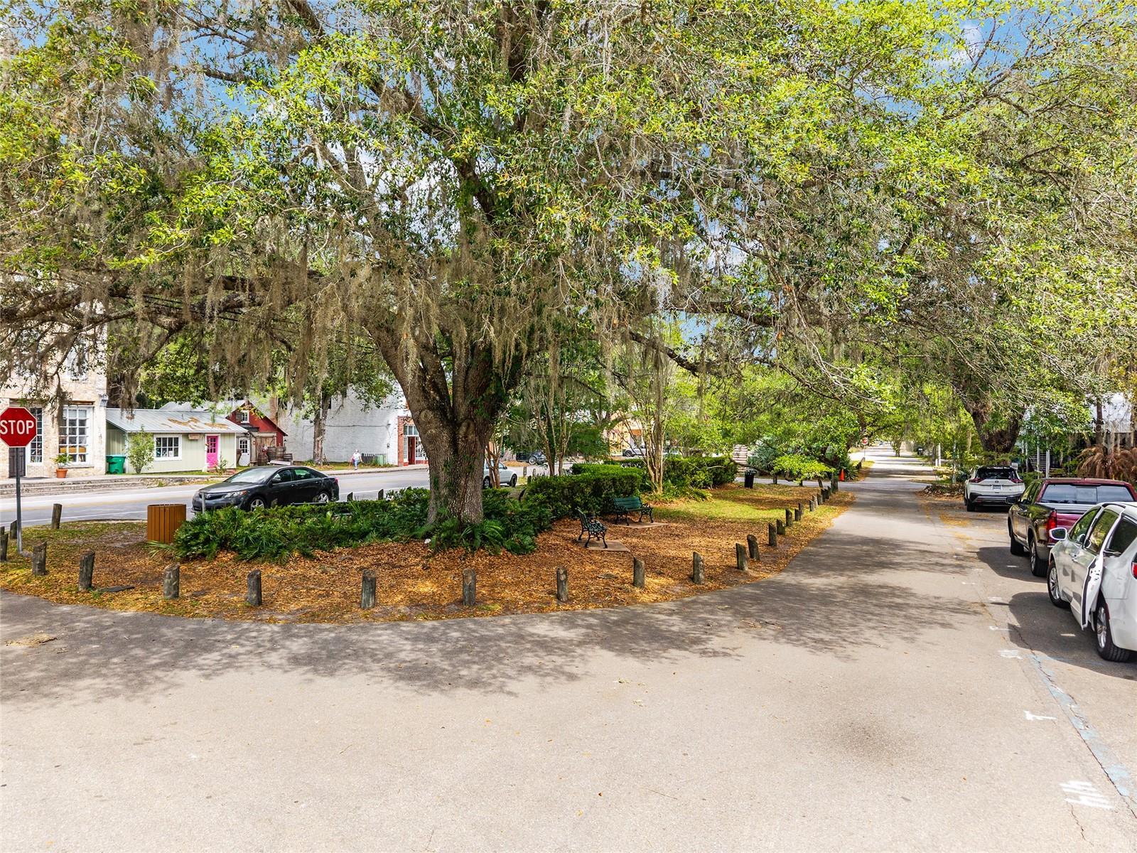 227 SE TUSCAWILLA RD, MICANOPY, FL, 32667