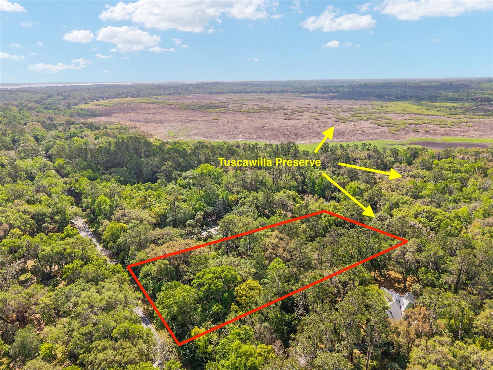 227 SE TUSCAWILLA RD, MICANOPY, FL, 32667