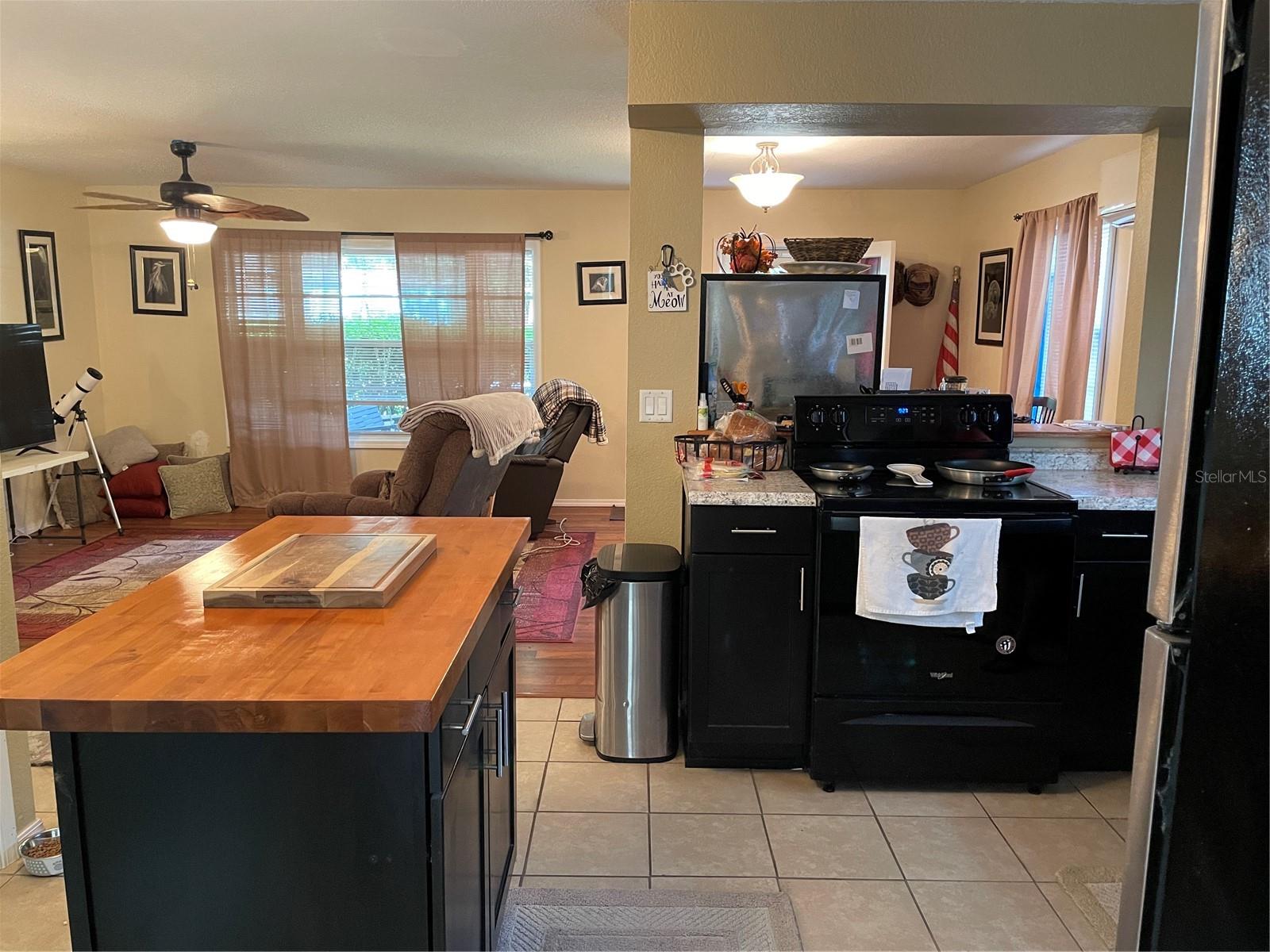 12385 SE 130TH AVE, OCKLAWAHA, FL, 32179