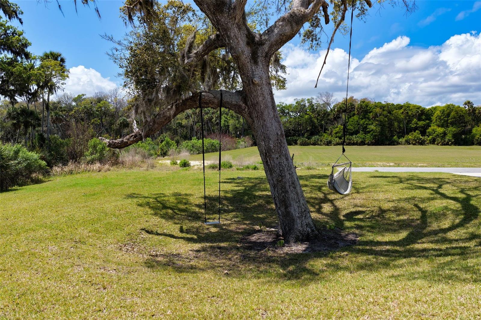222 SEASIDE LANDINGS DR S, FLAGLER BEACH, FL, 32136