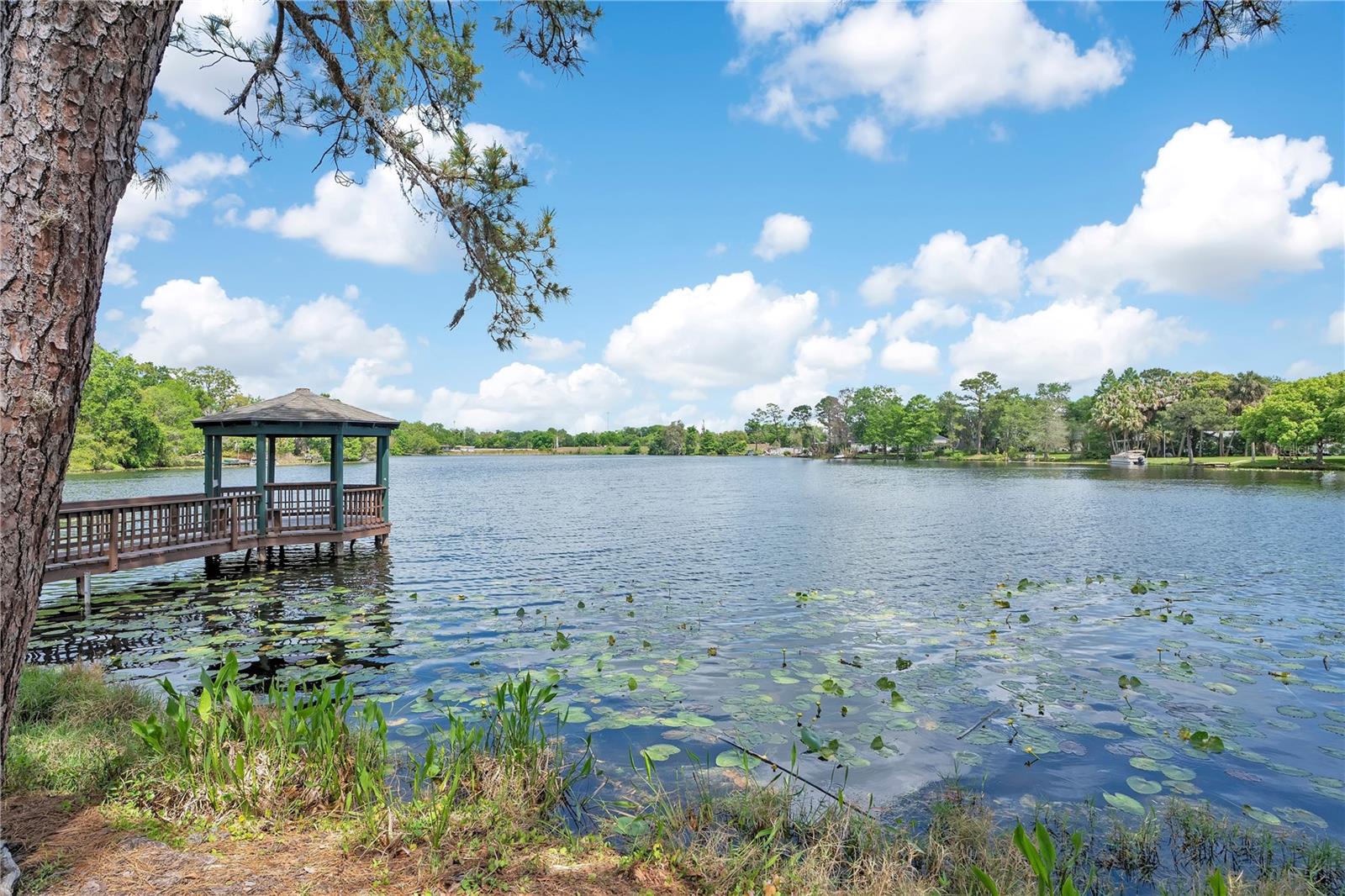 320 REMINGTON DR, OVIEDO, FL, 32765