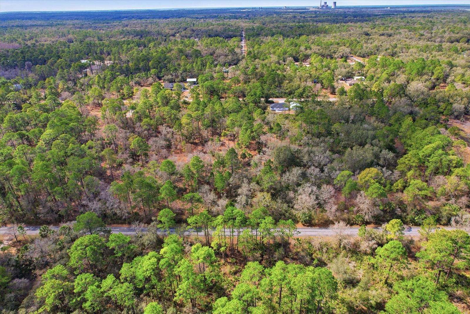 9568 N DAWNFLOWER AVE, CRYSTAL RIVER, FL, 34428