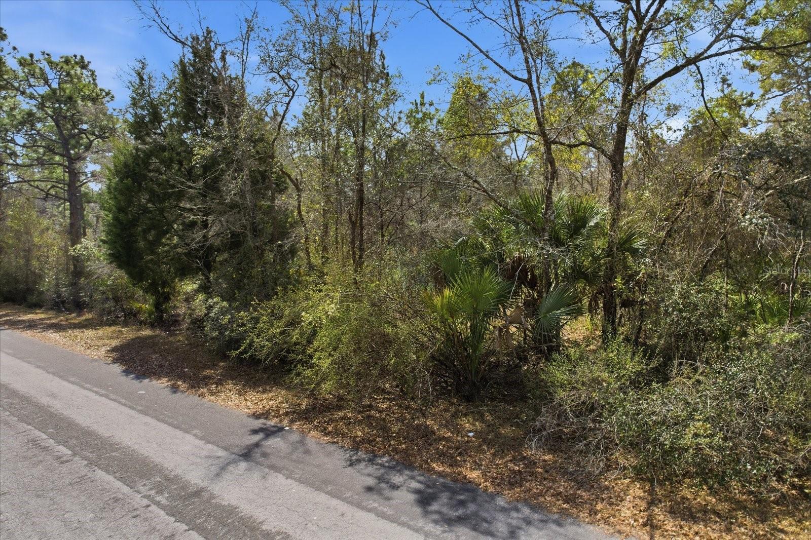 9568 N DAWNFLOWER AVE, CRYSTAL RIVER, FL, 34428