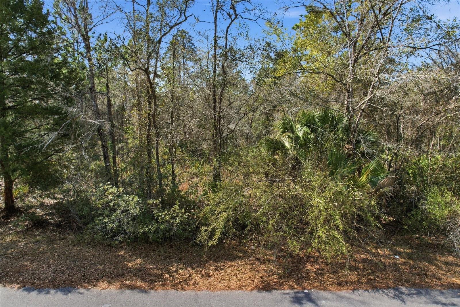 9568 N DAWNFLOWER AVE, CRYSTAL RIVER, FL, 34428