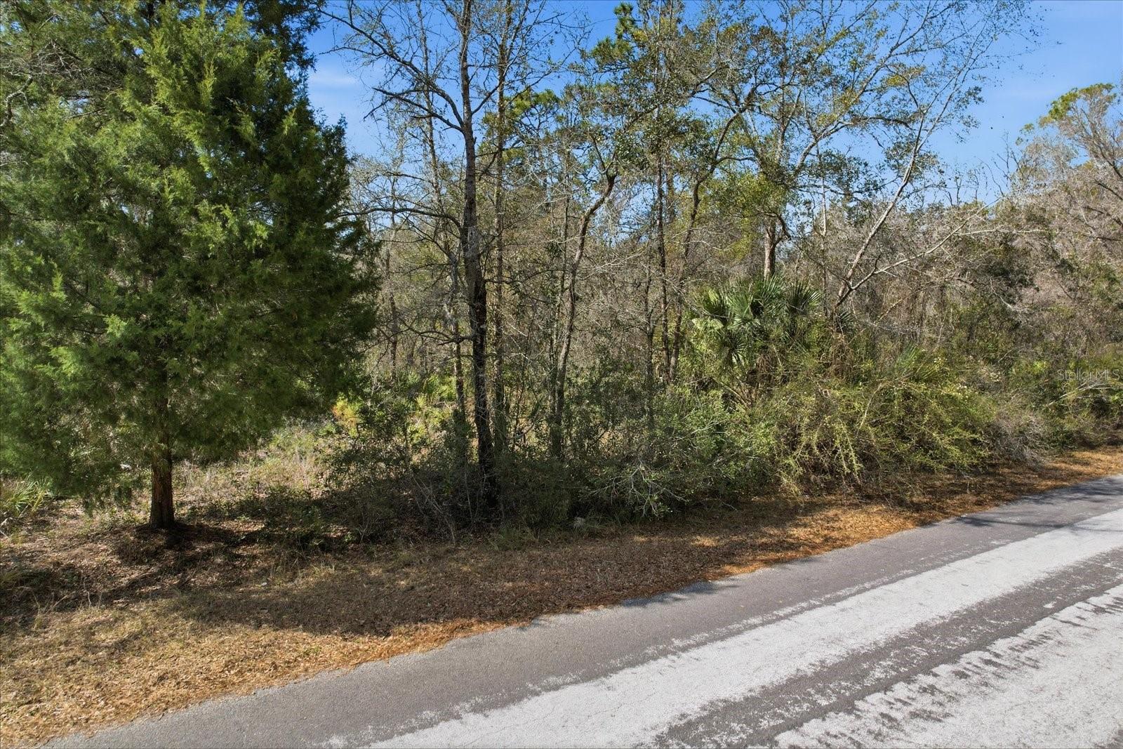 9568 N DAWNFLOWER AVE, CRYSTAL RIVER, FL, 34428