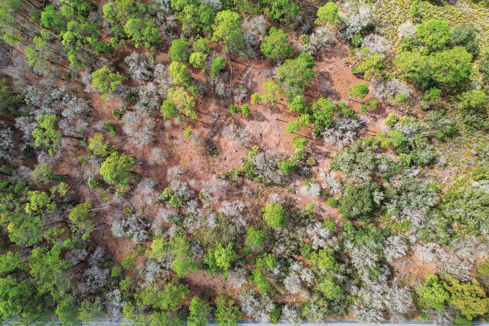 9568 N DAWNFLOWER AVE, CRYSTAL RIVER, FL, 34428