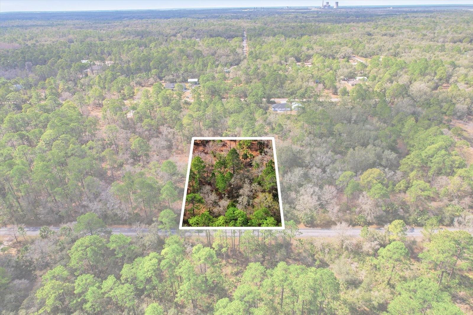 9568 N DAWNFLOWER AVE, CRYSTAL RIVER, FL, 34428