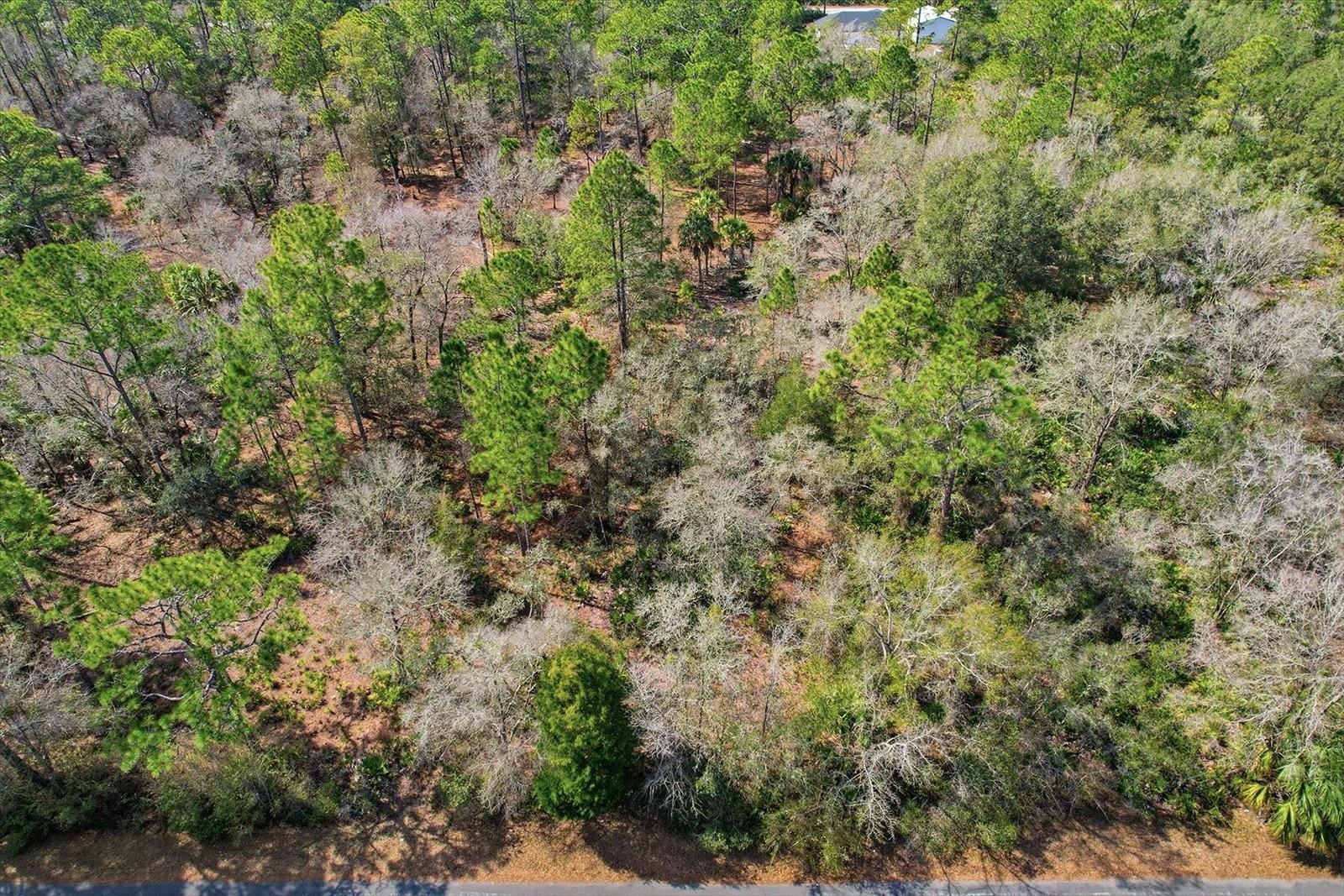 9568 N DAWNFLOWER AVE, CRYSTAL RIVER, FL, 34428