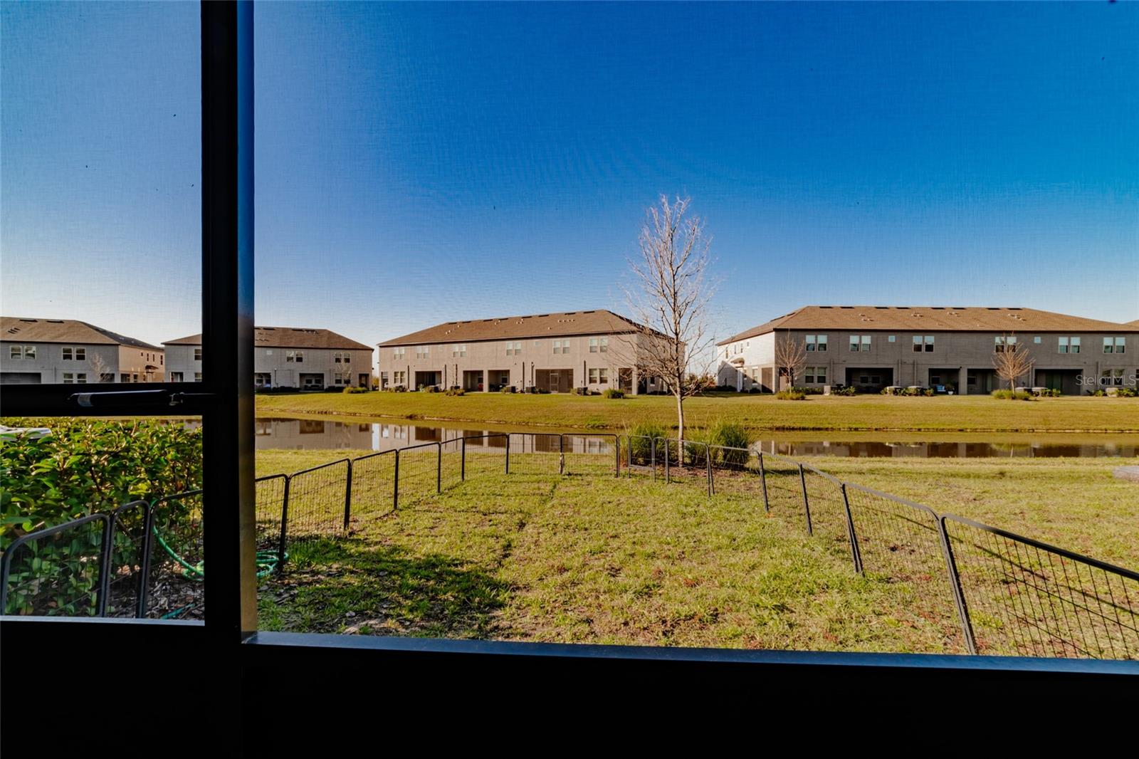 31974 BLUE PASSING LOOP, WESLEY CHAPEL, FL, 33545