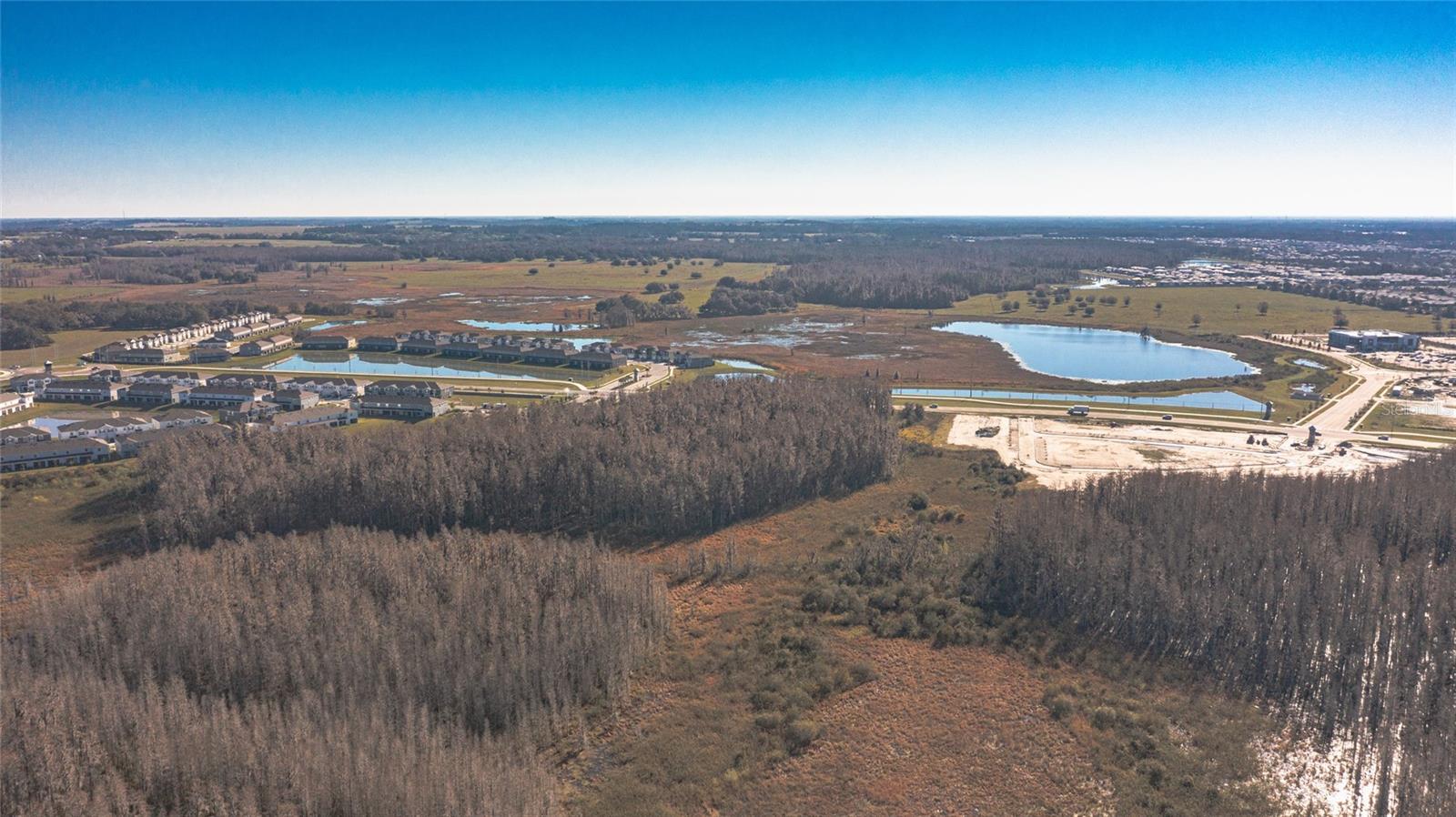 31974 BLUE PASSING LOOP, WESLEY CHAPEL, FL, 33545