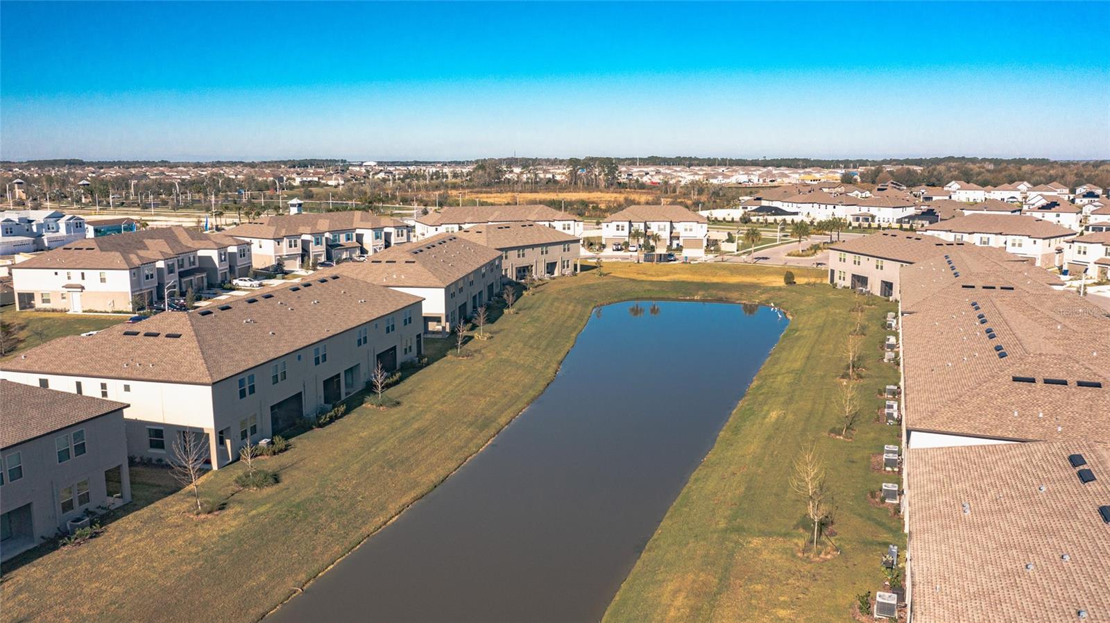 31974 BLUE PASSING LOOP, WESLEY CHAPEL, FL, 33545