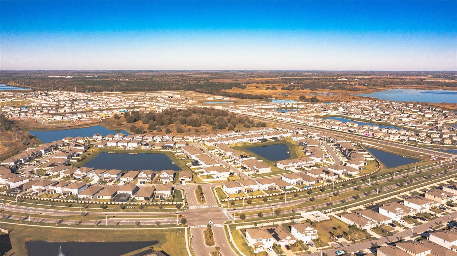 31974 BLUE PASSING LOOP, WESLEY CHAPEL, FL, 33545