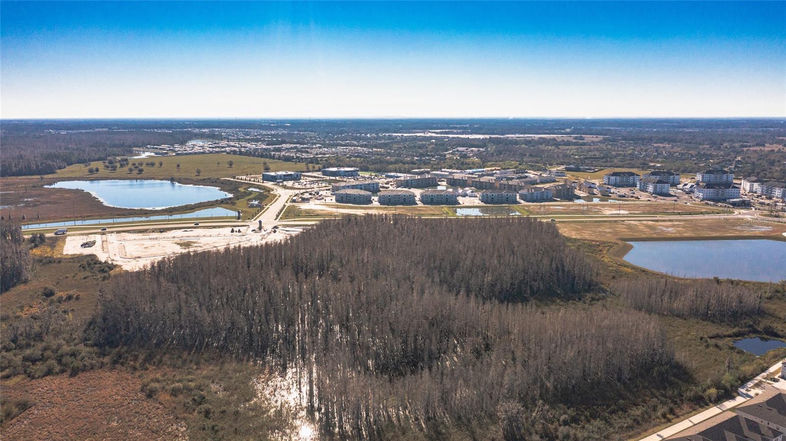 31974 BLUE PASSING LOOP, WESLEY CHAPEL, FL, 33545