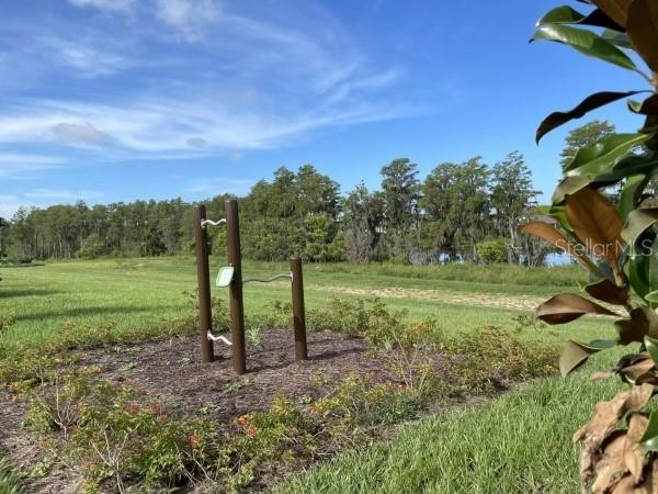 12118 PLUMPTON DR, WINTER GARDEN, FL, 34787