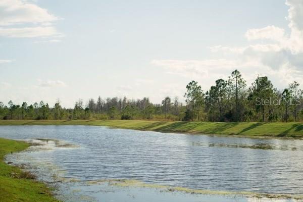 12118 PLUMPTON DR, WINTER GARDEN, FL, 34787