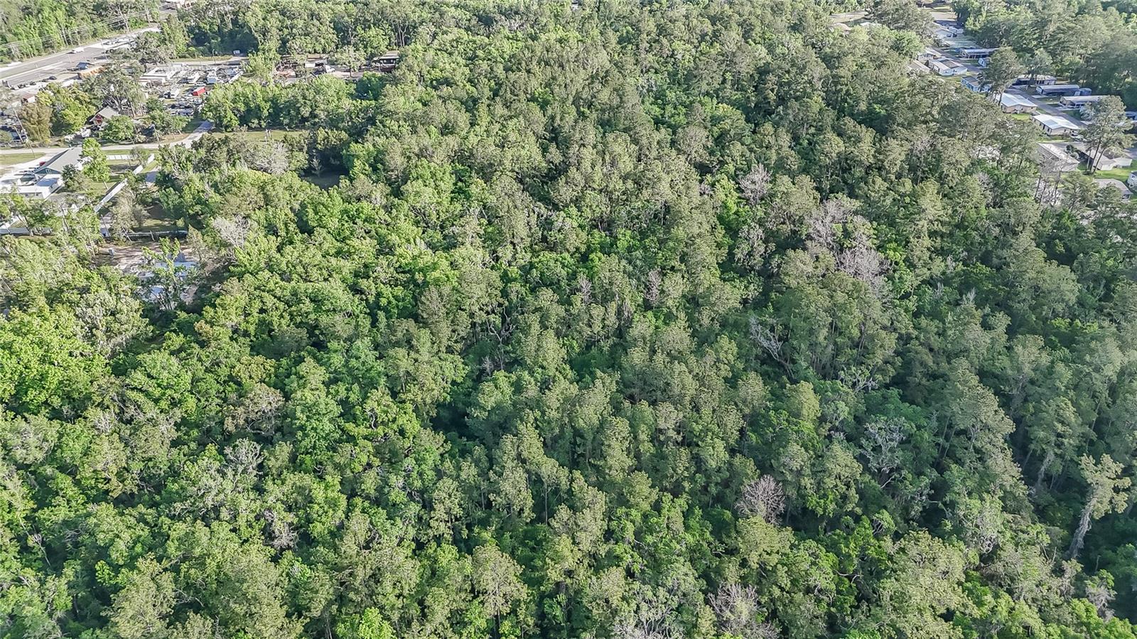 VFW RD, BROOKSVILLE, FL, 34601