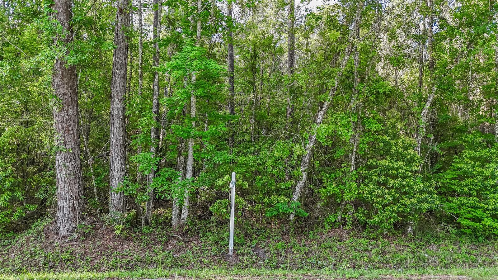 VFW RD, BROOKSVILLE, FL, 34601