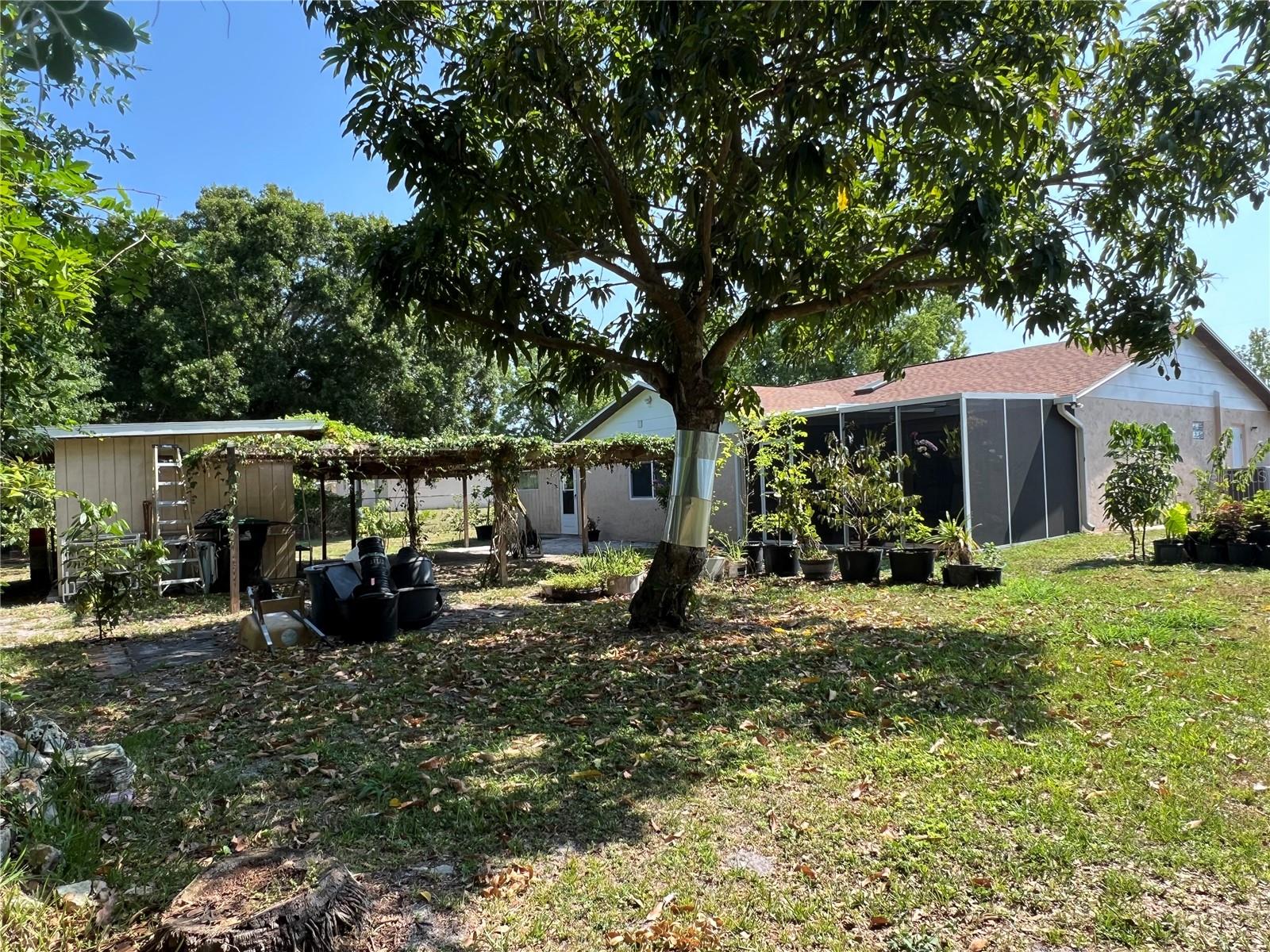 1620 FOXBOWER RD, ORLANDO, FL, 32825