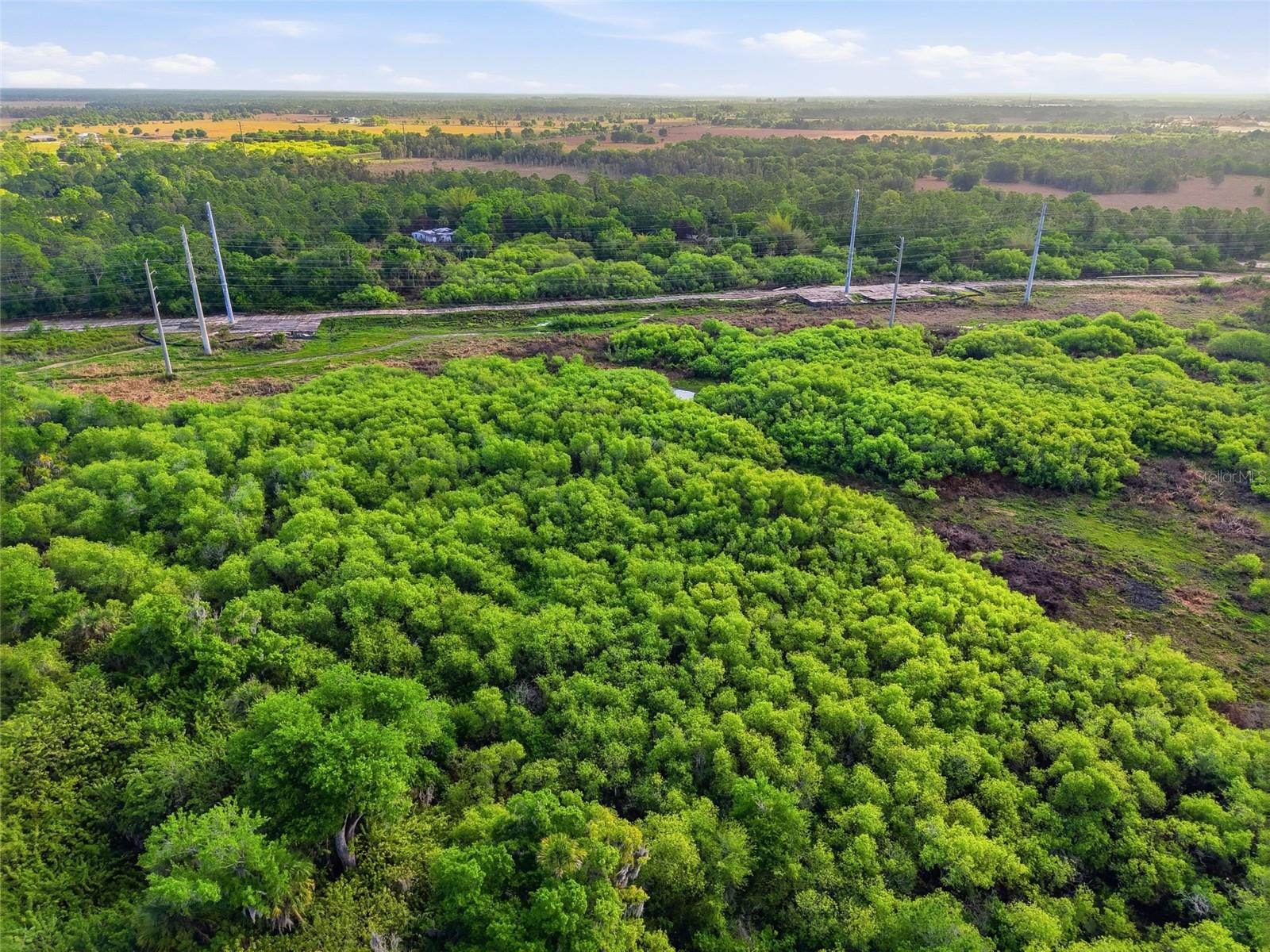 22811 WILLIAMS DR, NORTH FORT MYERS, FL, 33917