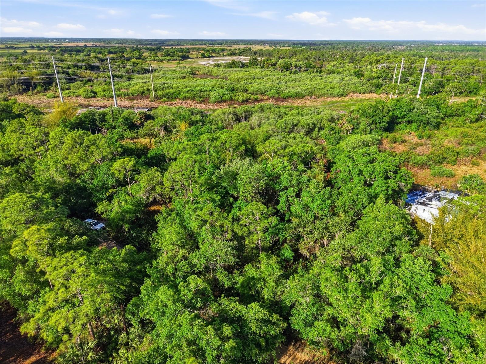 22811 WILLIAMS DR, NORTH FORT MYERS, FL, 33917