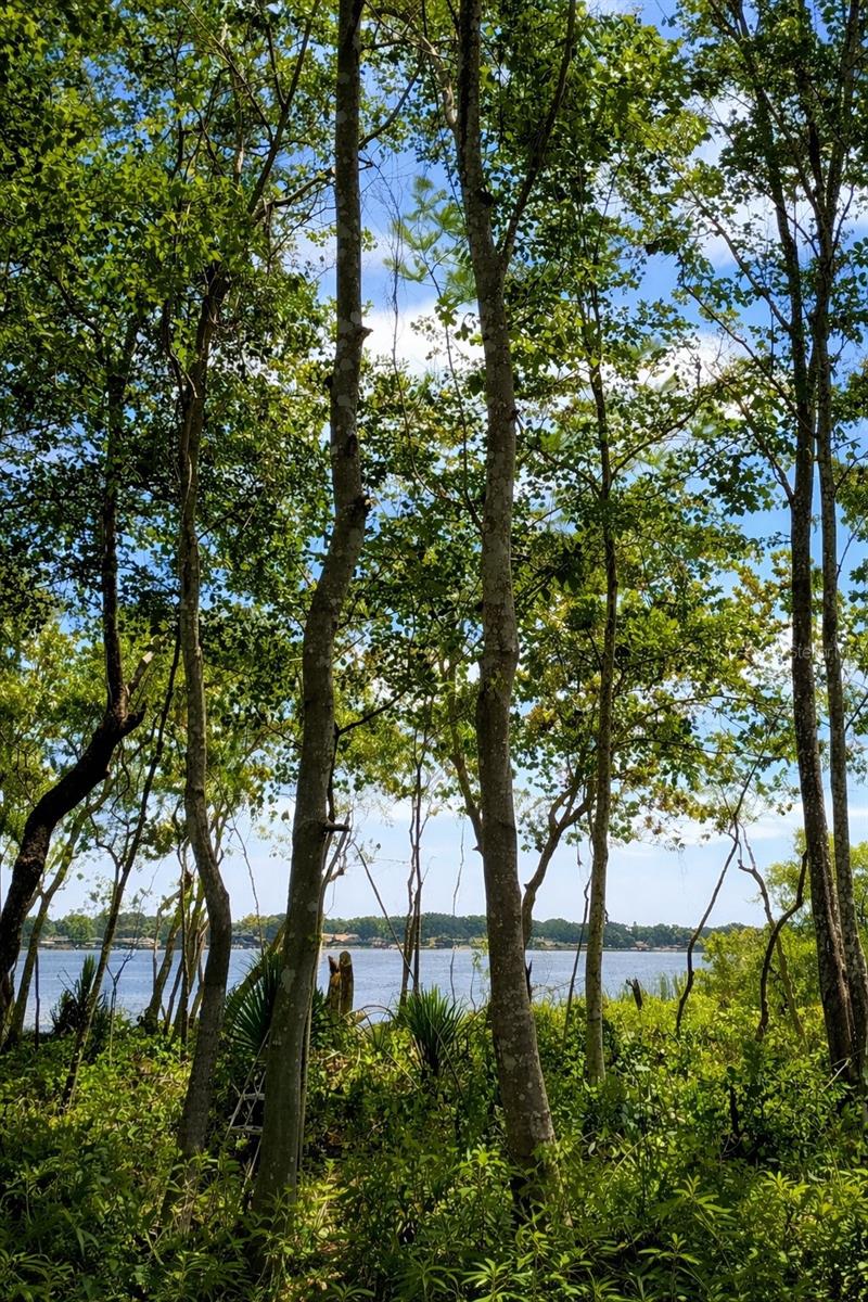 3501 S WESTMORELAND DR, ORLANDO, FL, 32805