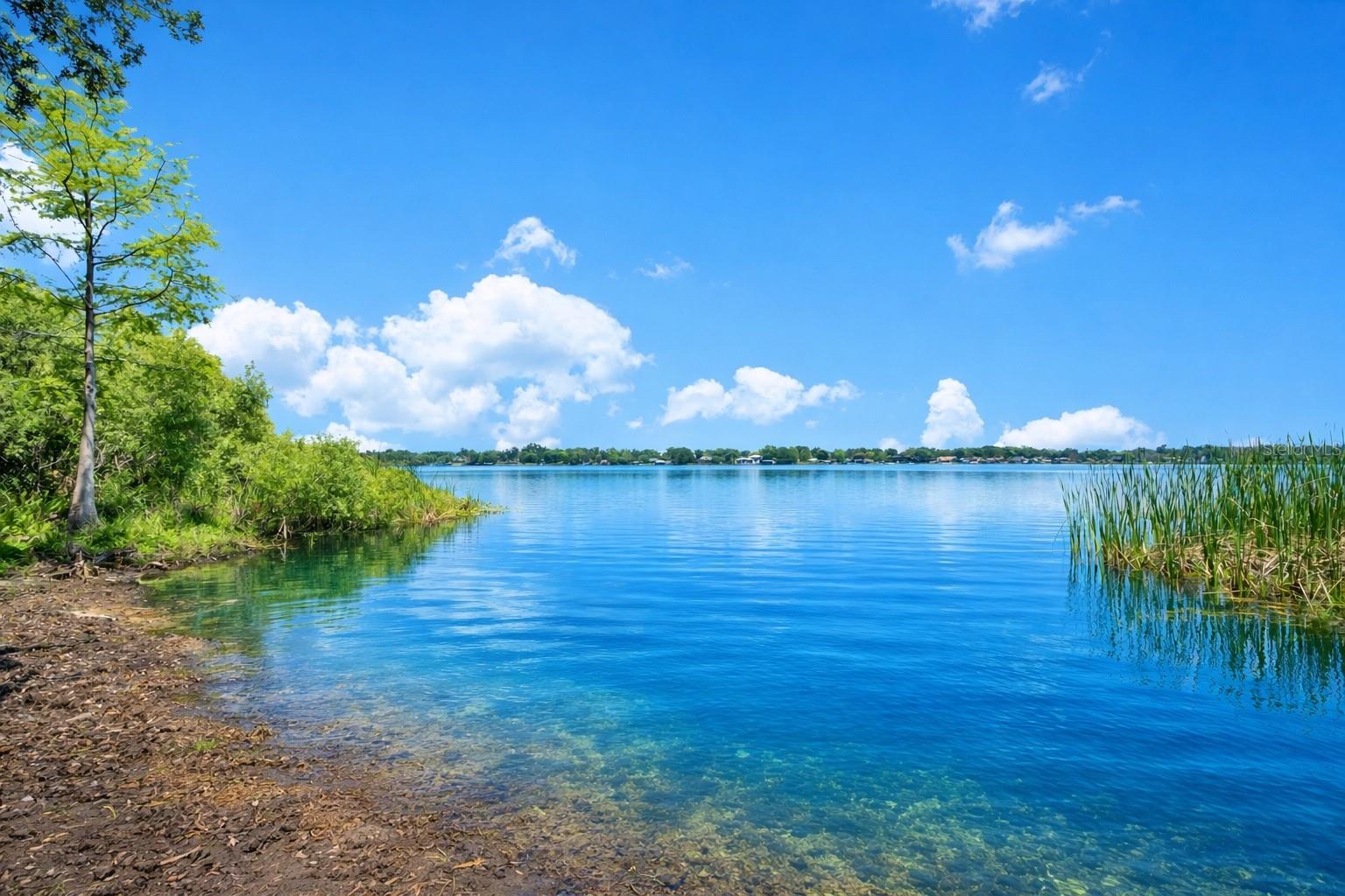 3501 S WESTMORELAND DR, ORLANDO, FL, 32805