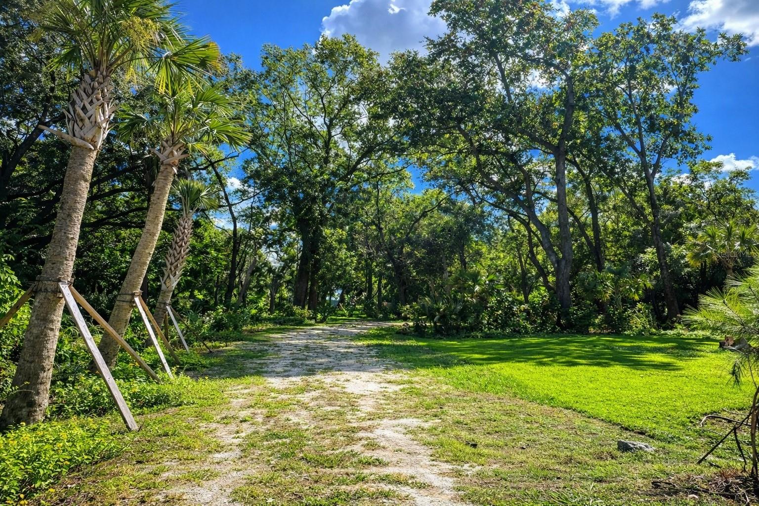 3501 S WESTMORELAND DR, ORLANDO, FL, 32805