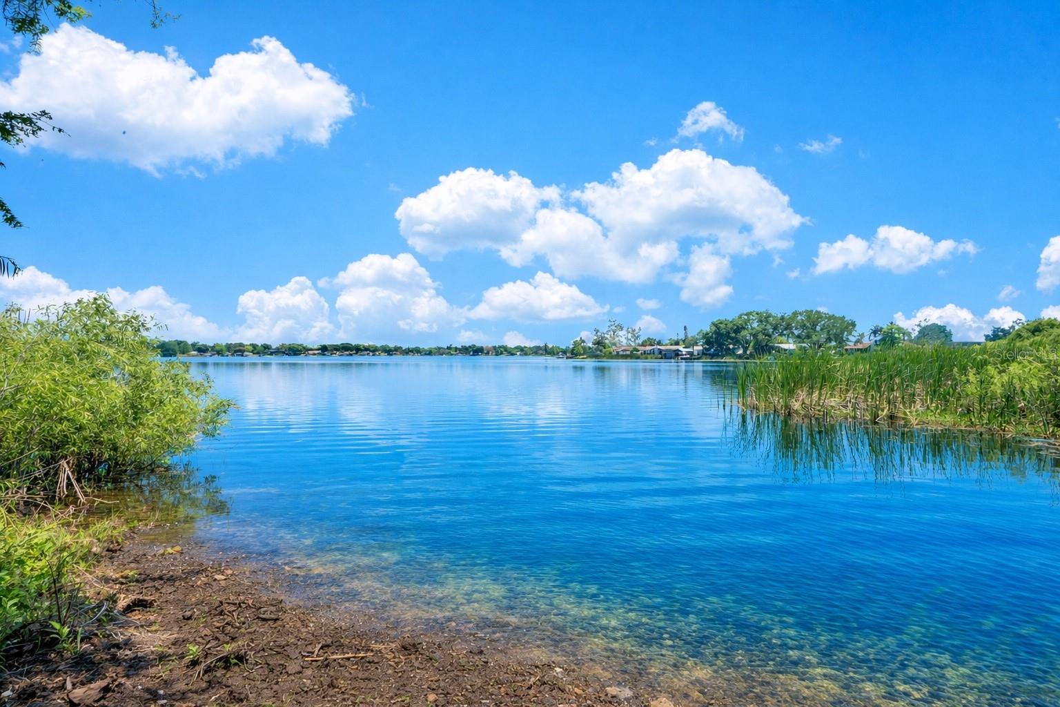 3501 S WESTMORELAND DR, ORLANDO, FL, 32805