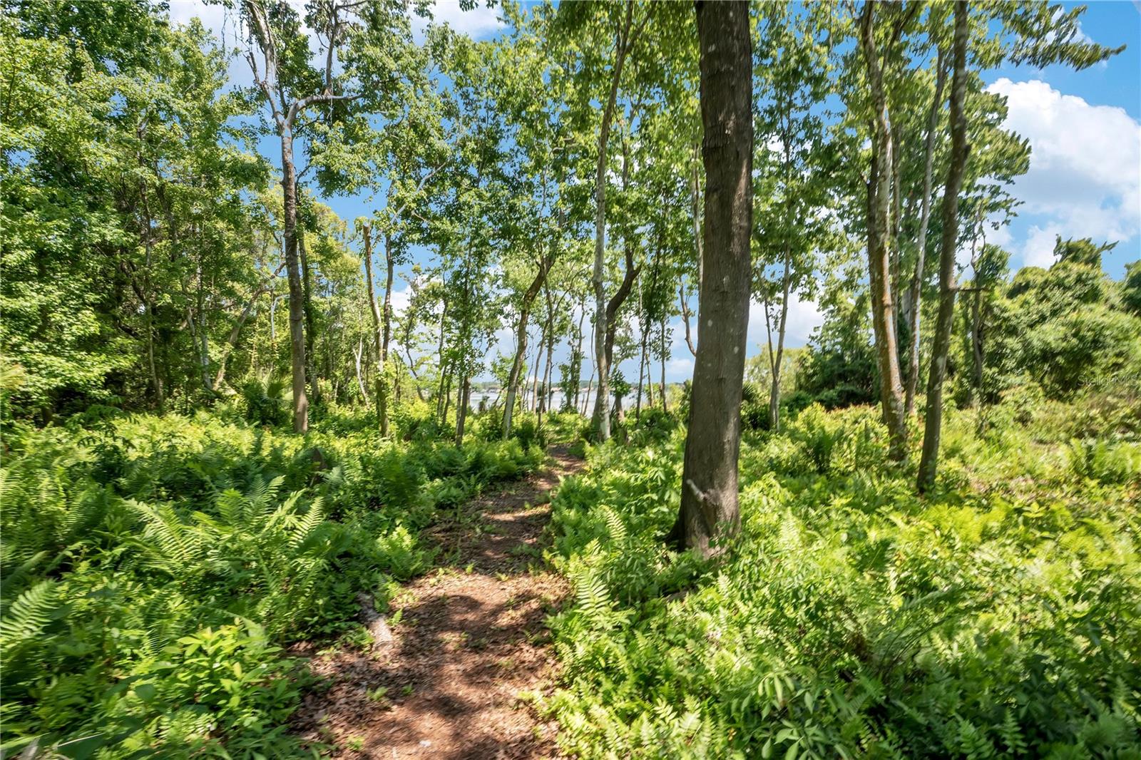 3501 S WESTMORELAND DR, ORLANDO, FL, 32805