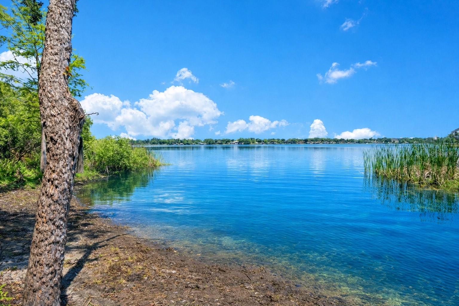 3501 S WESTMORELAND DR, ORLANDO, FL, 32805