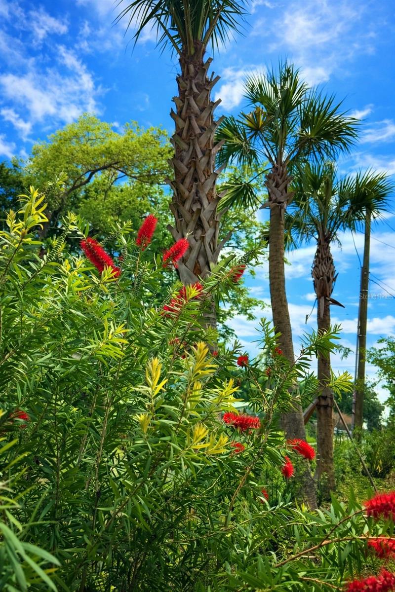 3501 S WESTMORELAND DR, ORLANDO, FL, 32805