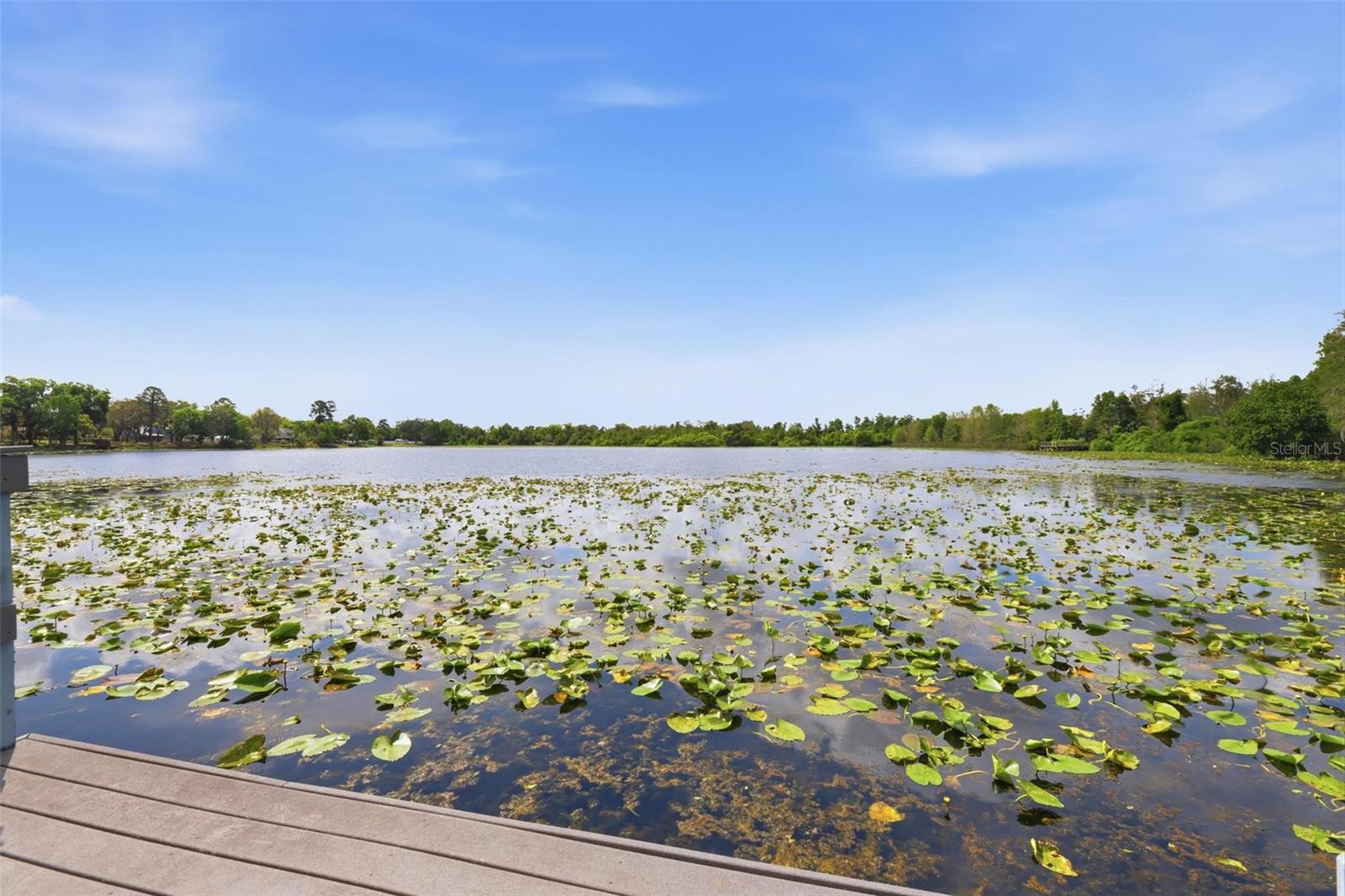 158 NORTHSHORE CIR, CASSELBERRY, FL, 32707