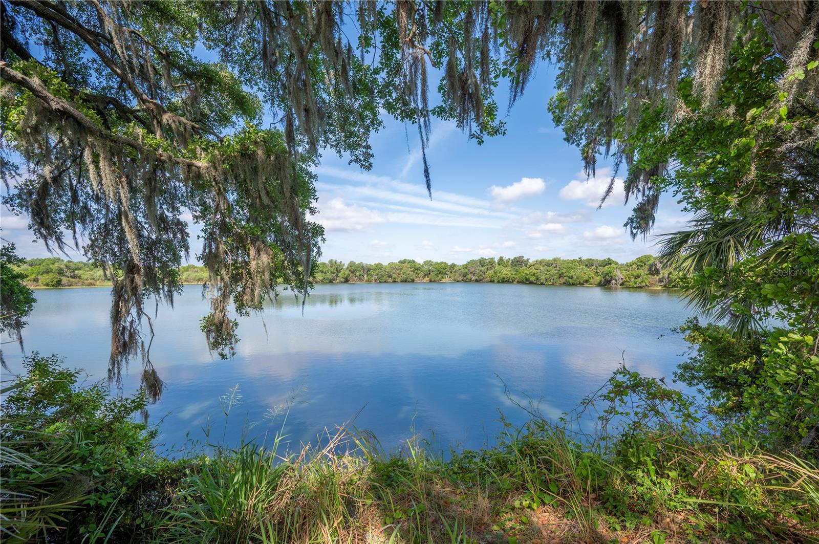 4537 FAIRWAY OAKS DR, MULBERRY, FL, 33860