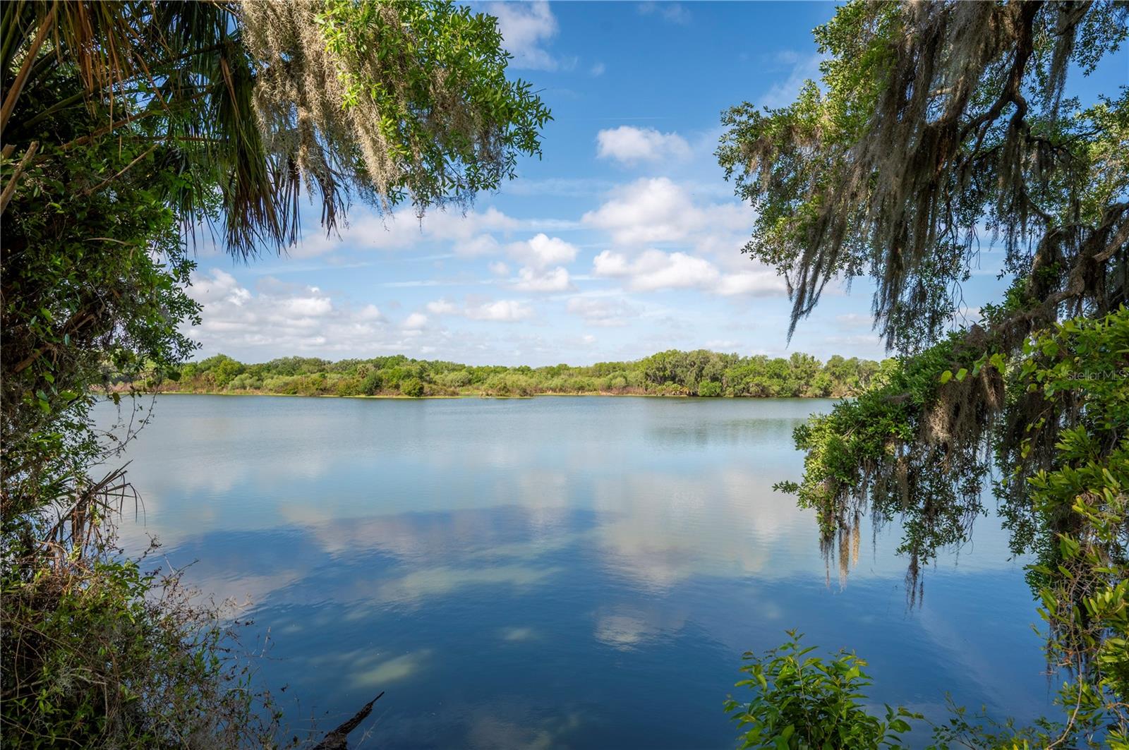 4537 FAIRWAY OAKS DR, MULBERRY, FL, 33860