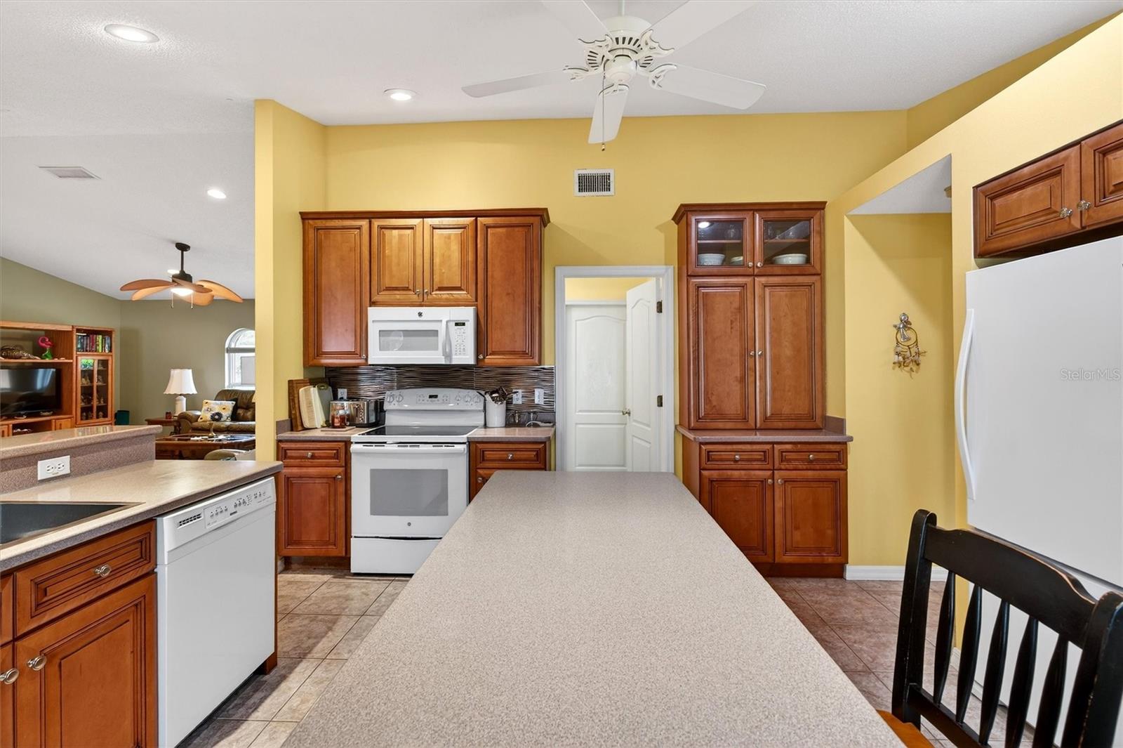 1918 UMBRELLA TREE DR, EDGEWATER, FL, 32141