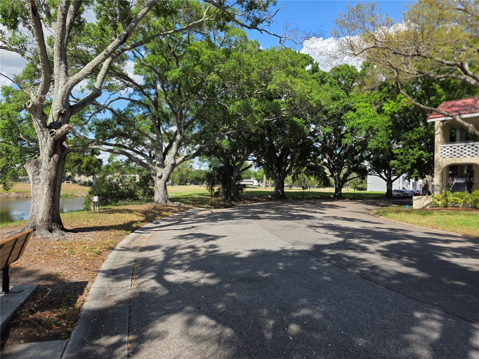 2405 FRANCISCAN DR #11, CLEARWATER, FL, 33763