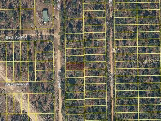 PARK ST, INTERLACHEN, FL, 32148