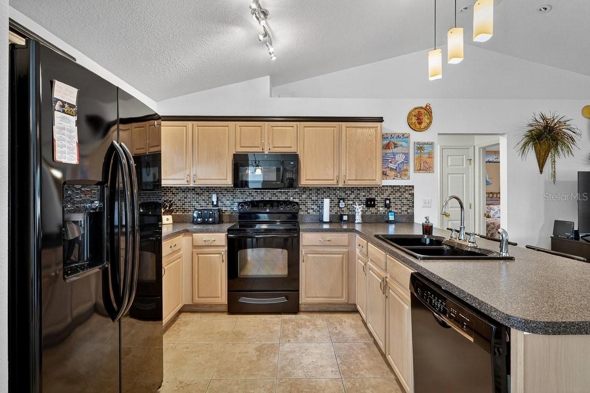 89 ROBINSON DR, PALM COAST, FL, 32164