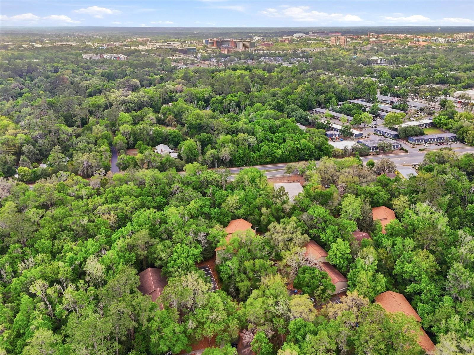 85 SE 16TH AVE #F301, GAINESVILLE, FL, 32601