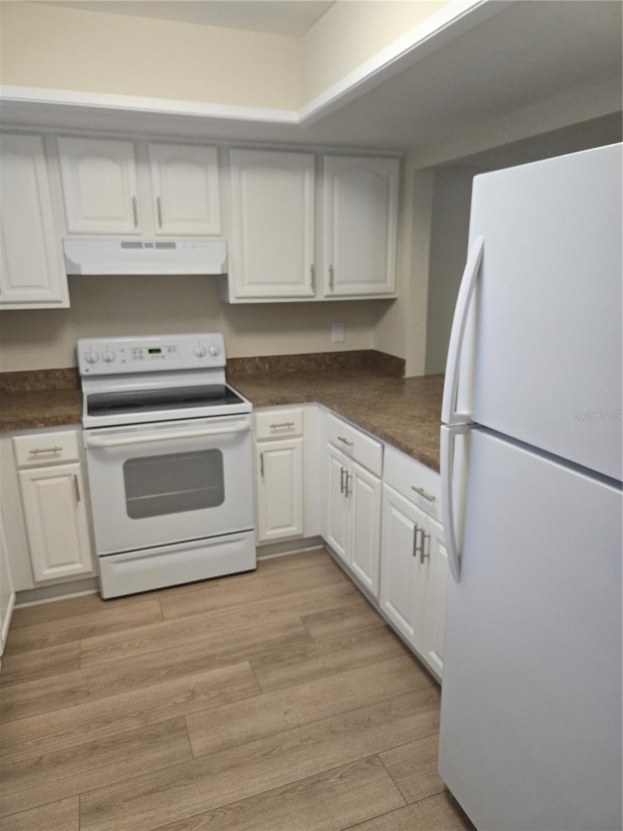 140 DOUGLAS RD W #F, OLDSMAR, FL, 34677