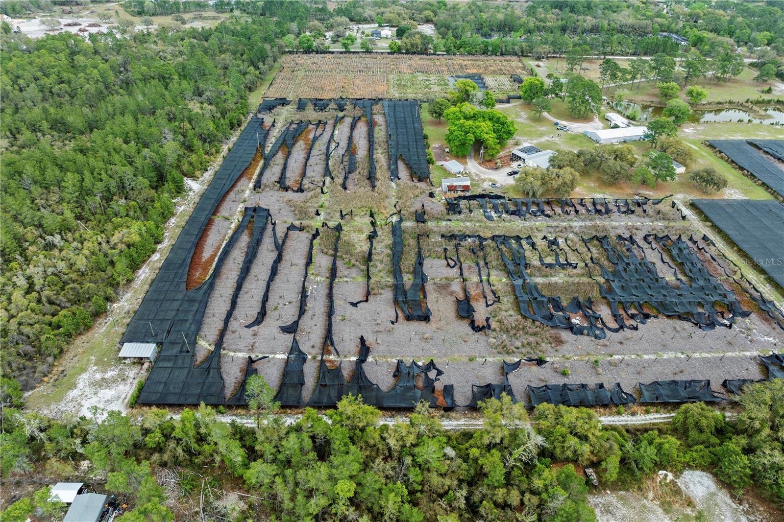 40945 BEACH, EUSTIS, FL, 32736