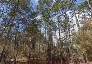 AKRON ST, INTERLACHEN, FL, 32148