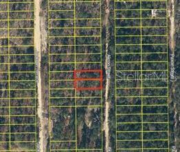 AKRON ST, INTERLACHEN, FL, 32148