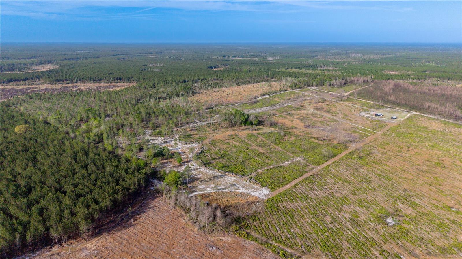 TBD NE 83RD WAY, GAINESVILLE, FL, 32609