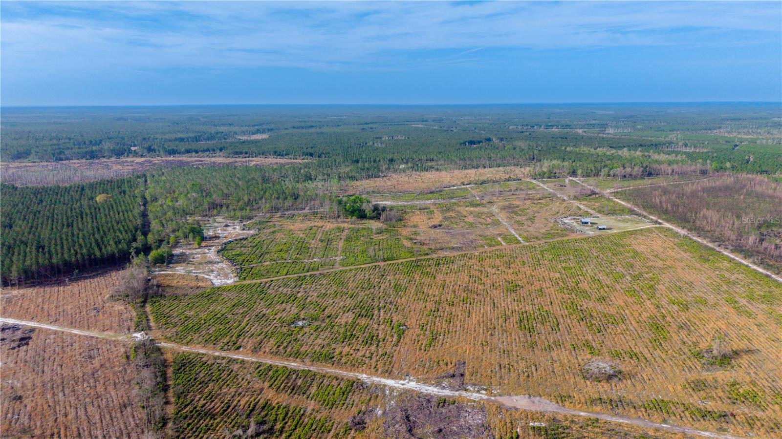 TBD NE 83RD WAY, GAINESVILLE, FL, 32609