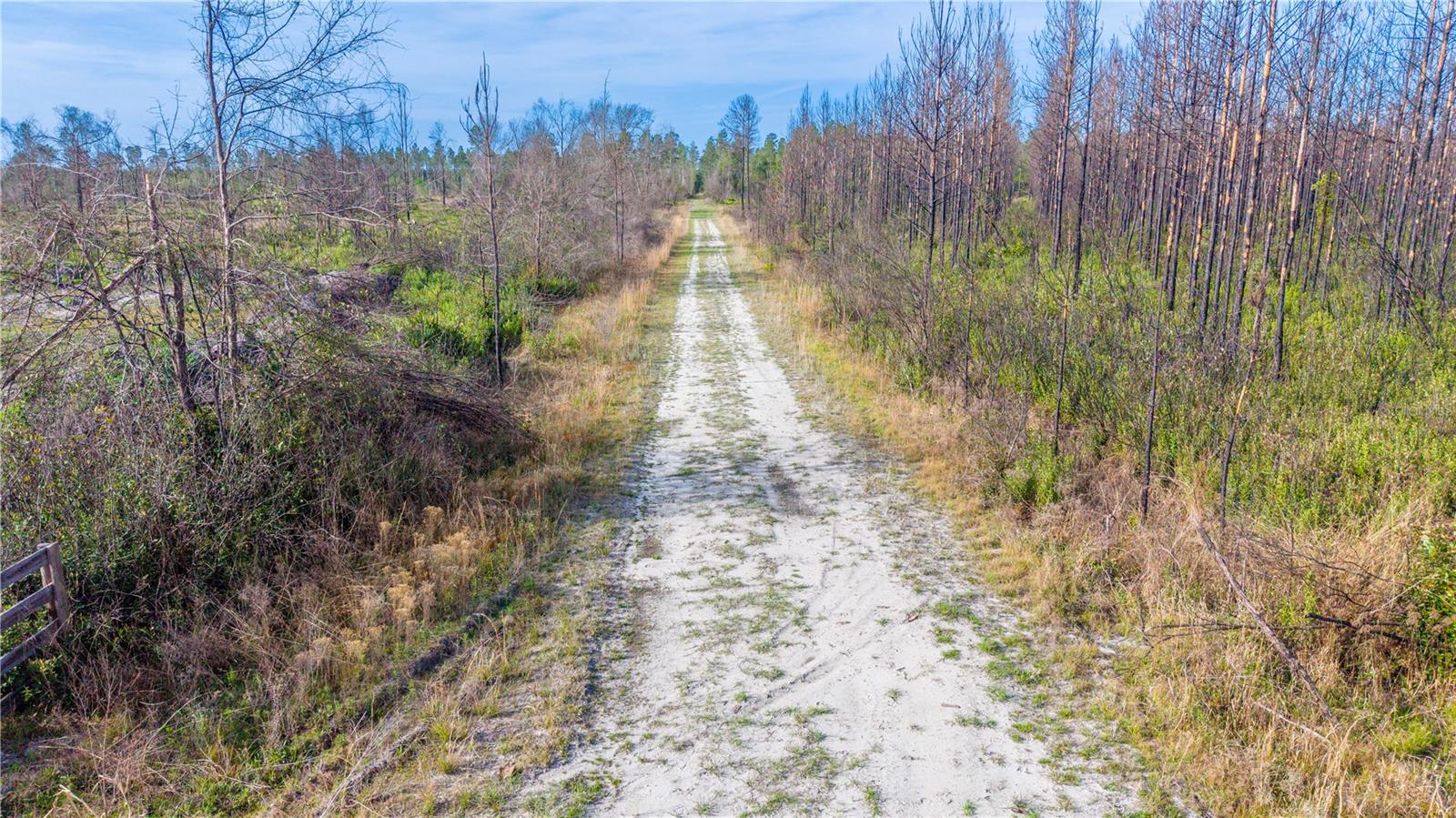 TBD NE 83RD WAY, GAINESVILLE, FL, 32609